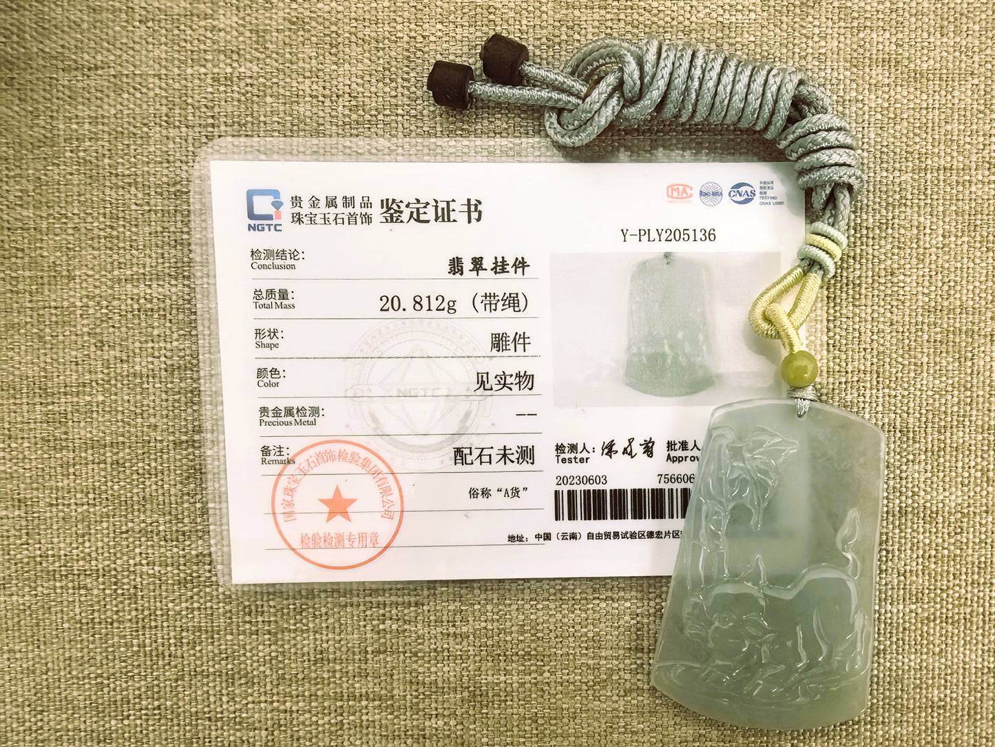 Natural Grade-A Glutinous-Icy Light Green Pig Jadeite Plaque Pendant ·Burmese Jade