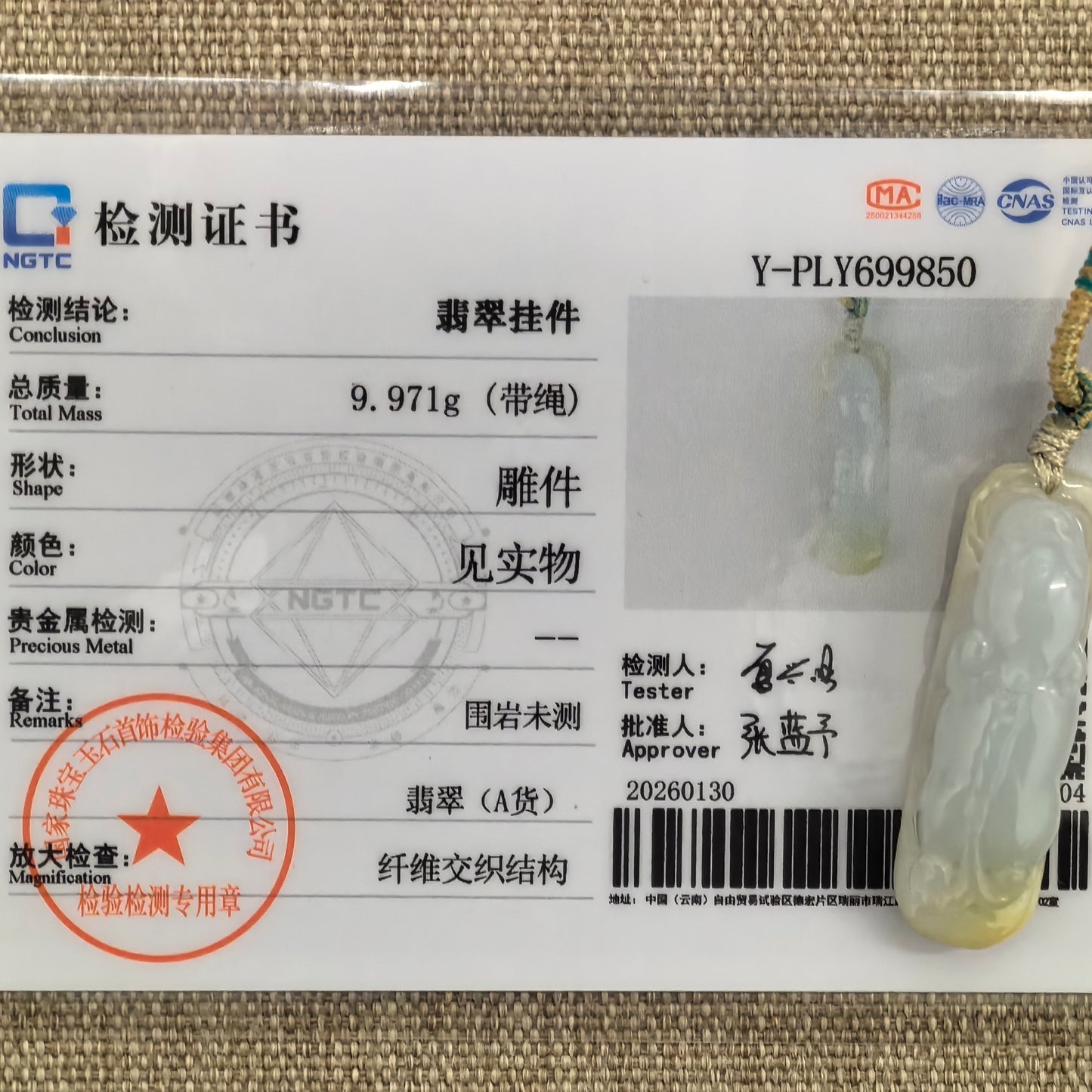 Natural Grade-A Glutinous Icy Jadeite Pixiu Pendant · Burmese Jade