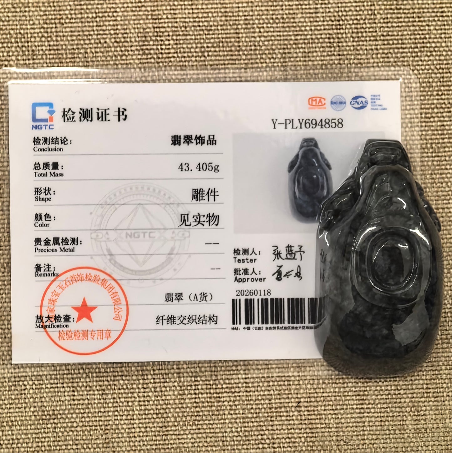 Natural Grade-A Glutinous Black Jadeite Dragon Cup · Burmese Jade