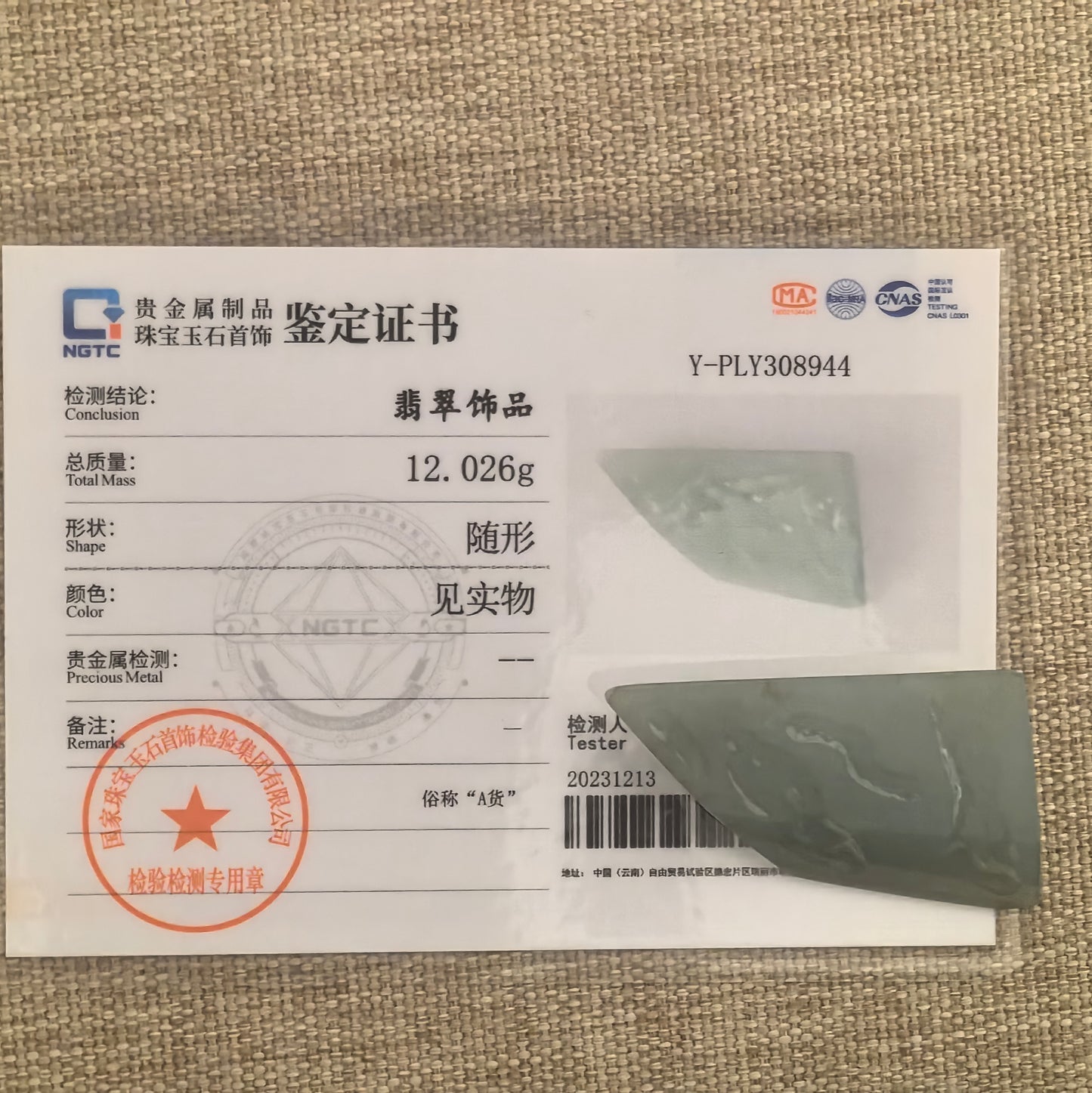 Natural Grade-A Jadeite Rough Piece for Pendant Carving · Burmese Jade