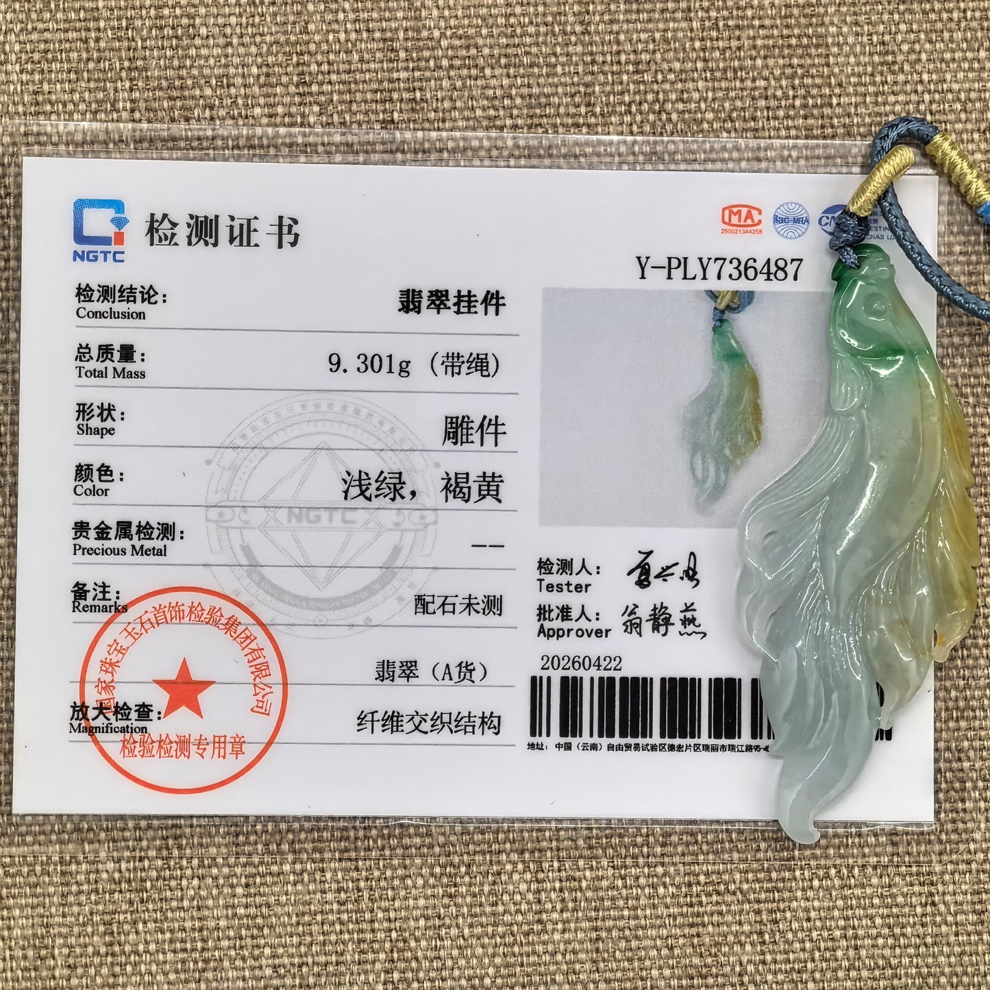 NGTC certified yellow-green jadeite fish pendant shown with matching certificate.