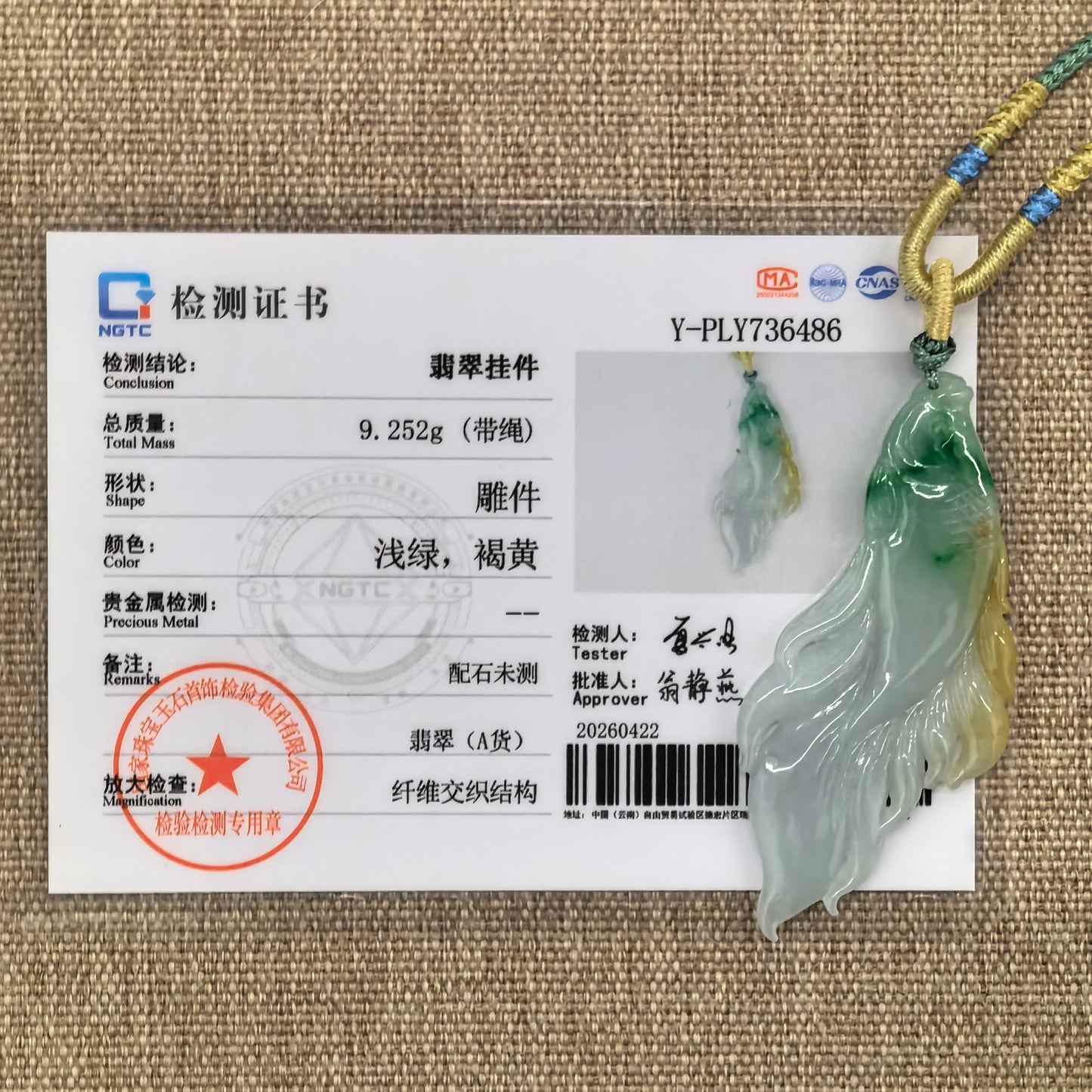 NGTC certified yellow-green jadeite fish pendant shown with matching certificate.