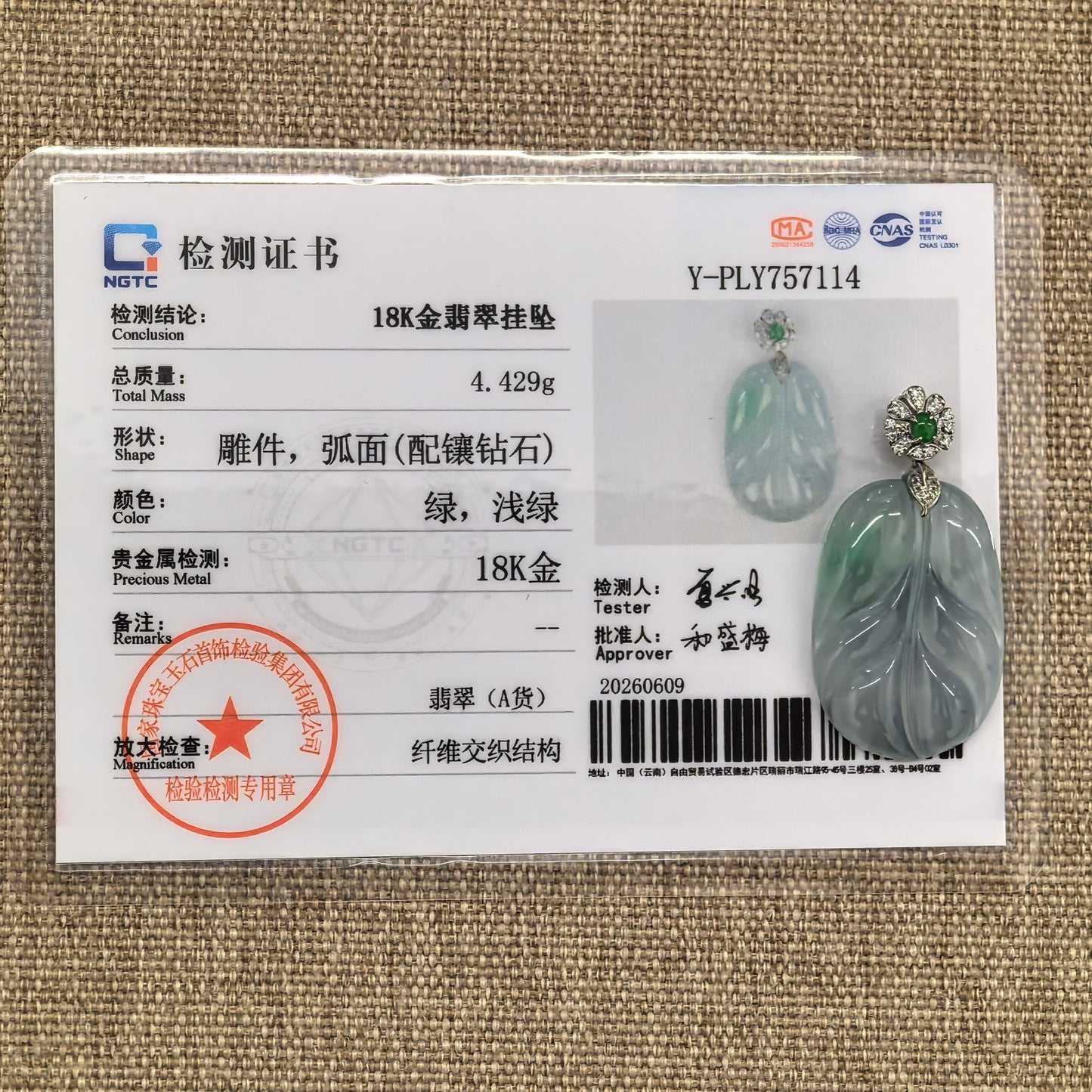 NGTC certified jadeite pendant displayed with matching certificate confirming natural Grade-A Burmese jadeite authenticity.