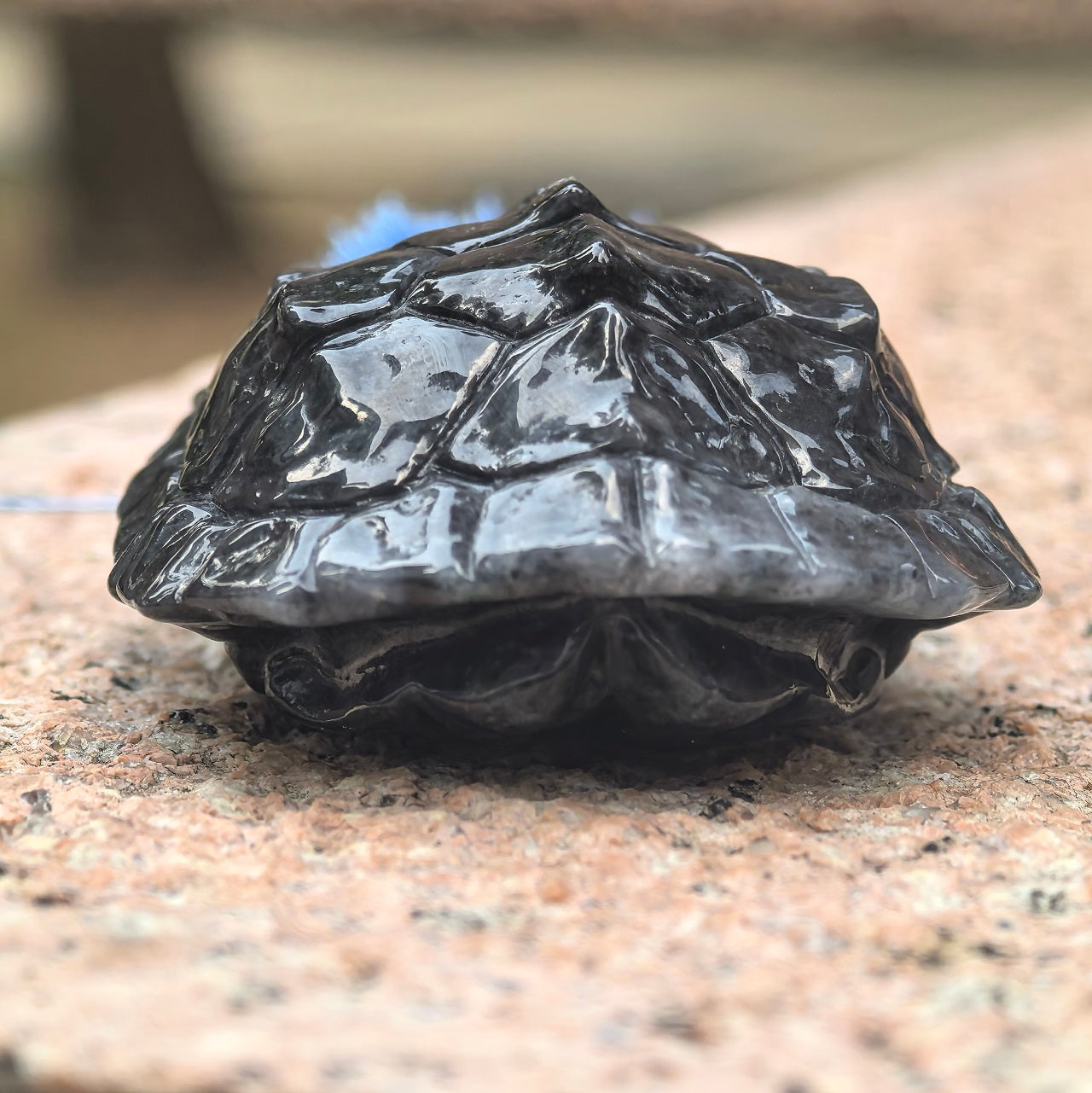 Natural Grade-A Black-and-White Jadeite Turtle Shell Carving Ornament ·Burmese Jade