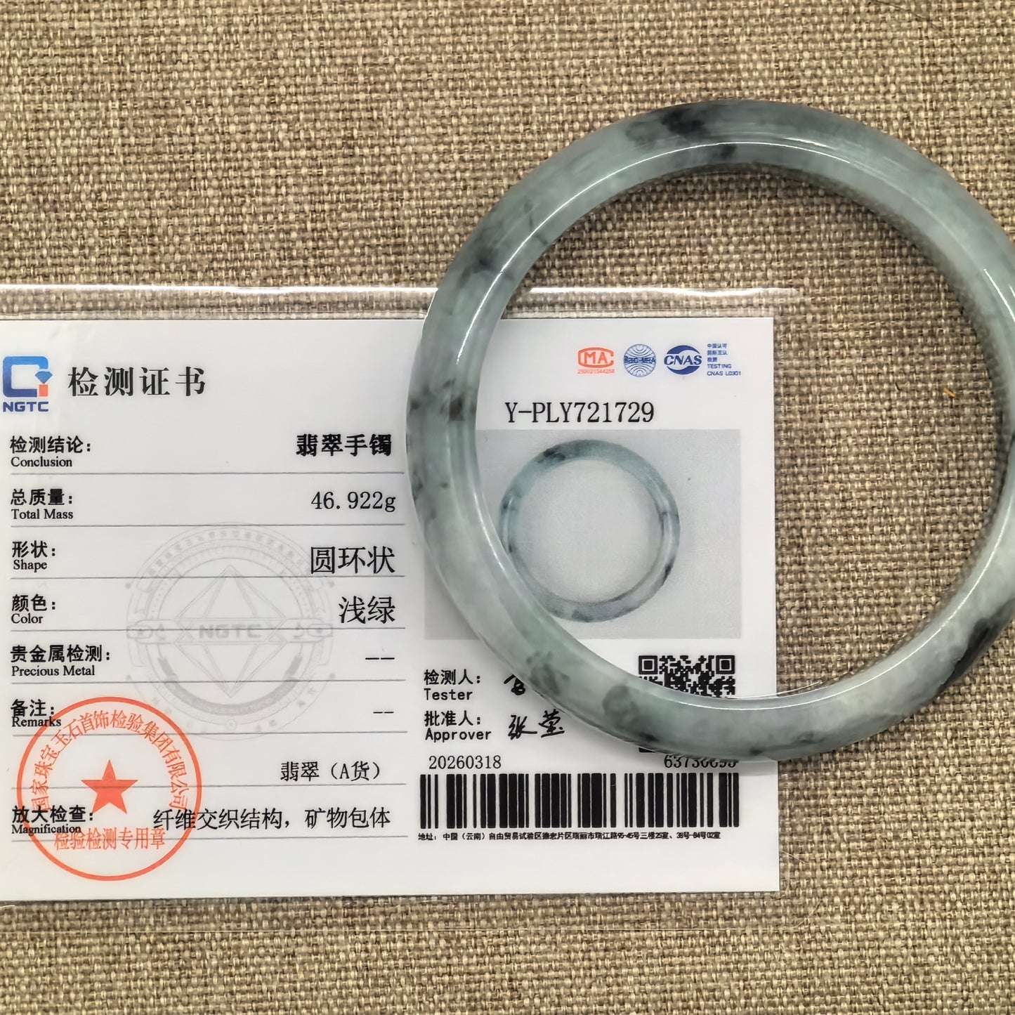 Natural Grade-A Glutinous Light Green Jadeite Bangle · Burmese Jade 57mm