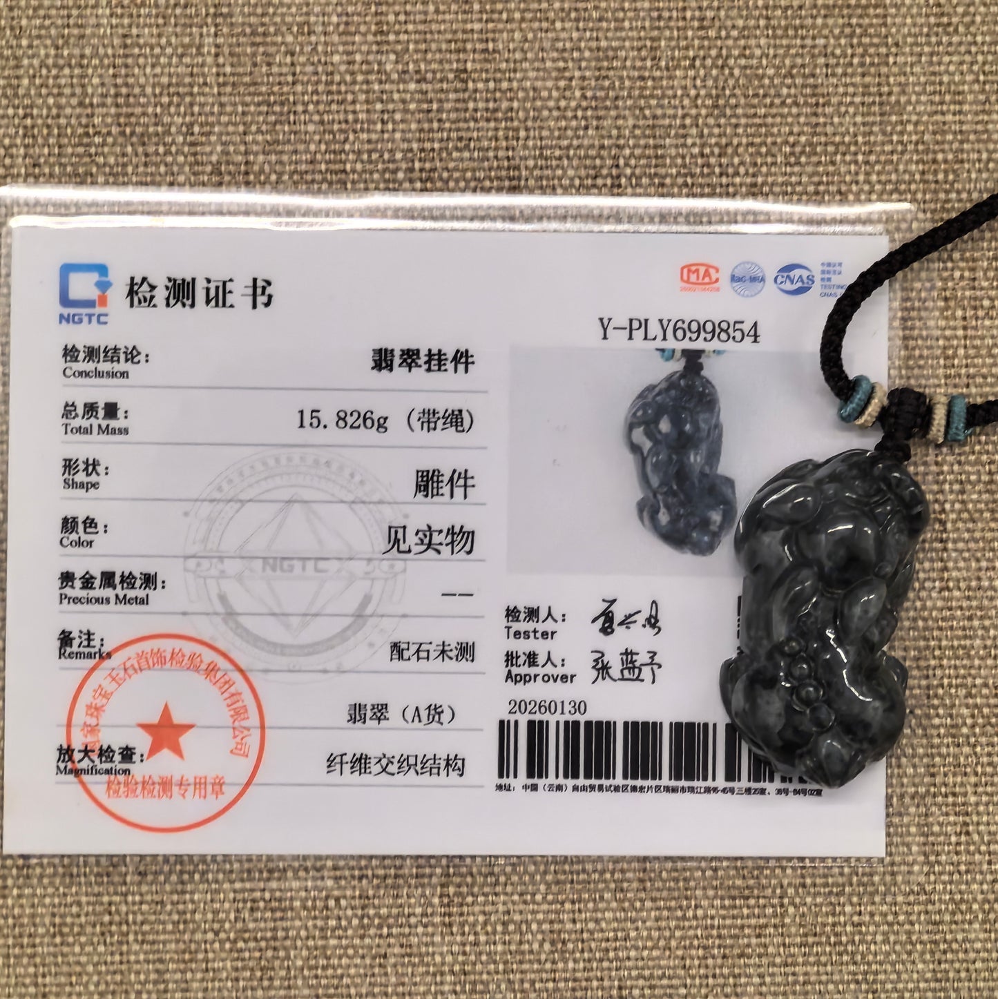 NGTC certified natural Grade-A black Pixiu jadeite pendant displayed with its matching certificate.

