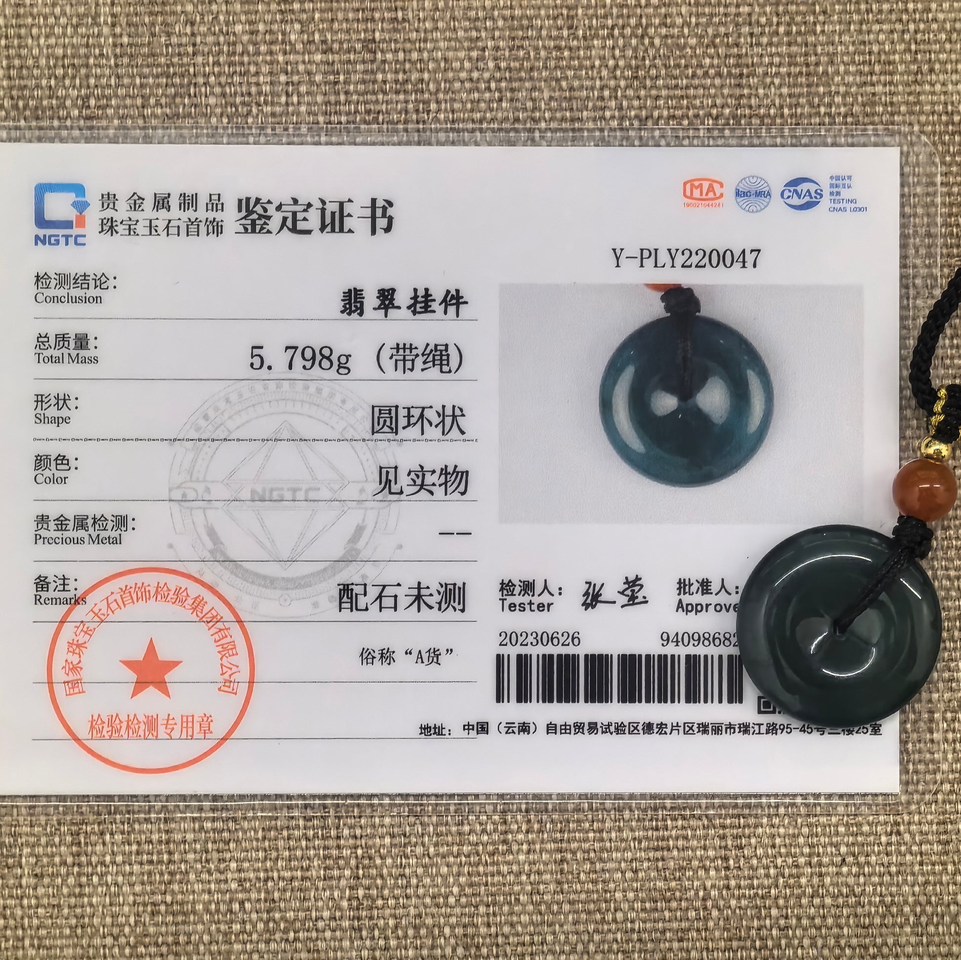 NGTC certified Guatemalan teal blue jadeite Peace Pendant shown with matching certificate and cord.