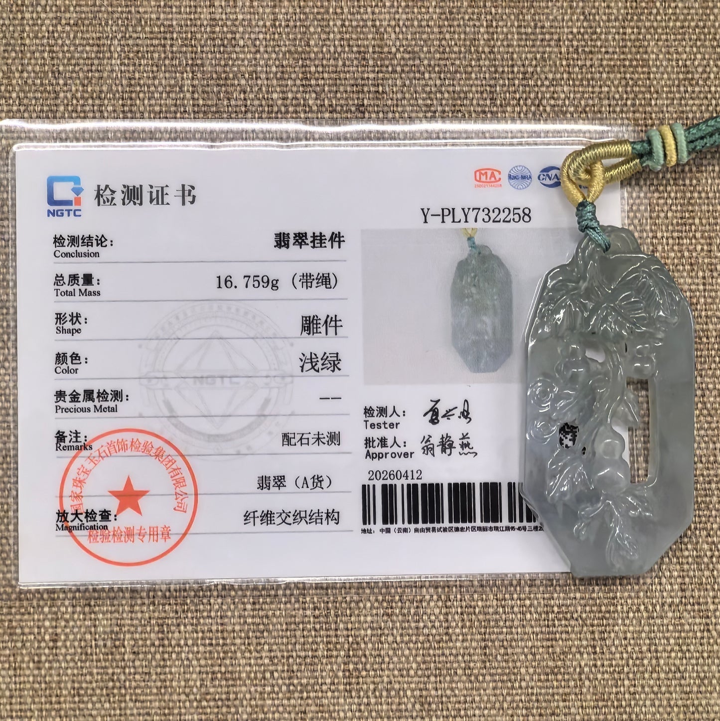 NGTC certified icy glutinous pale green gourd vine jadeite pendant shown with matching certificate.

