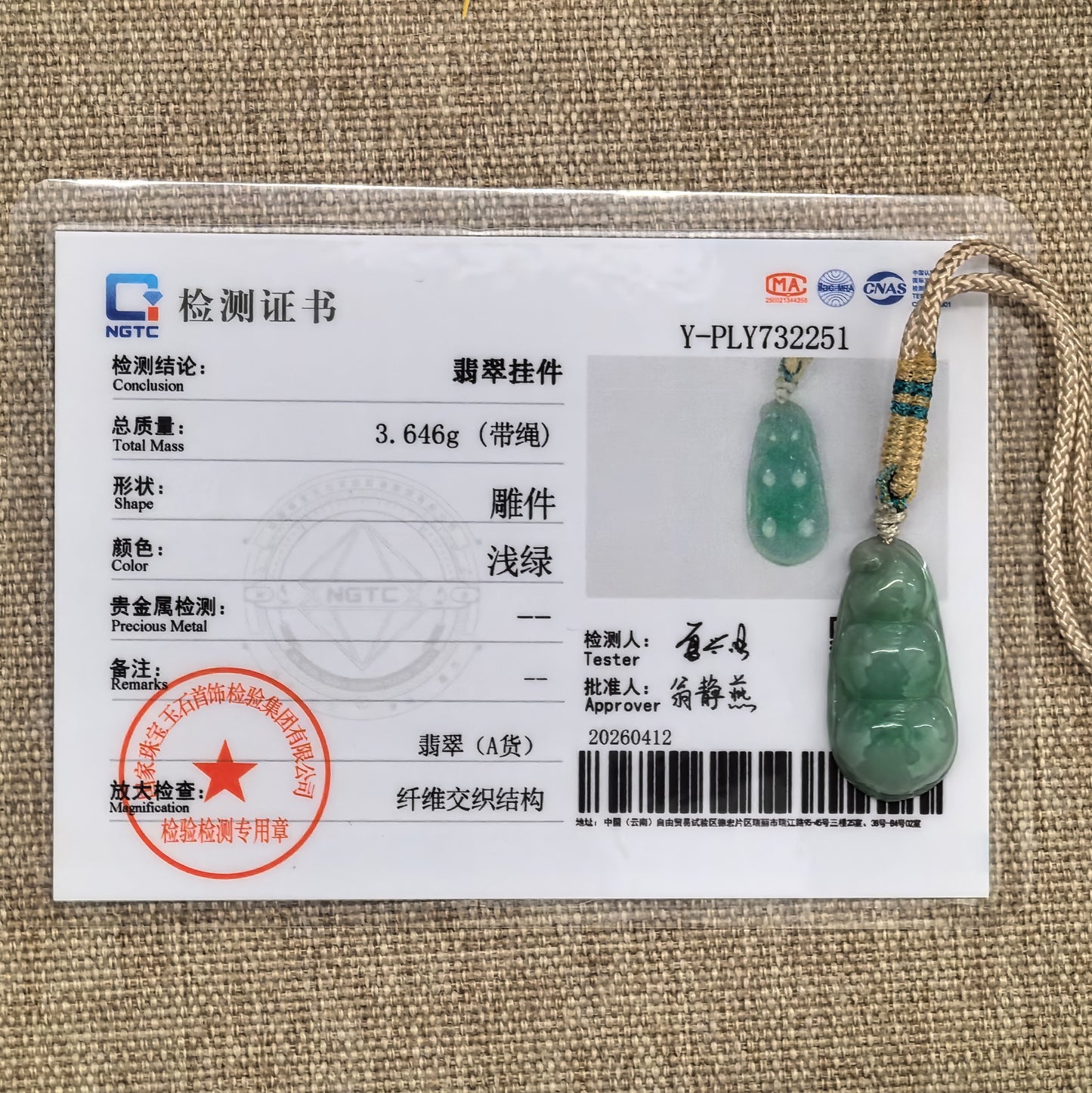 NGTC certified glutinous green bean jadeite pendant shown with matching certificate.