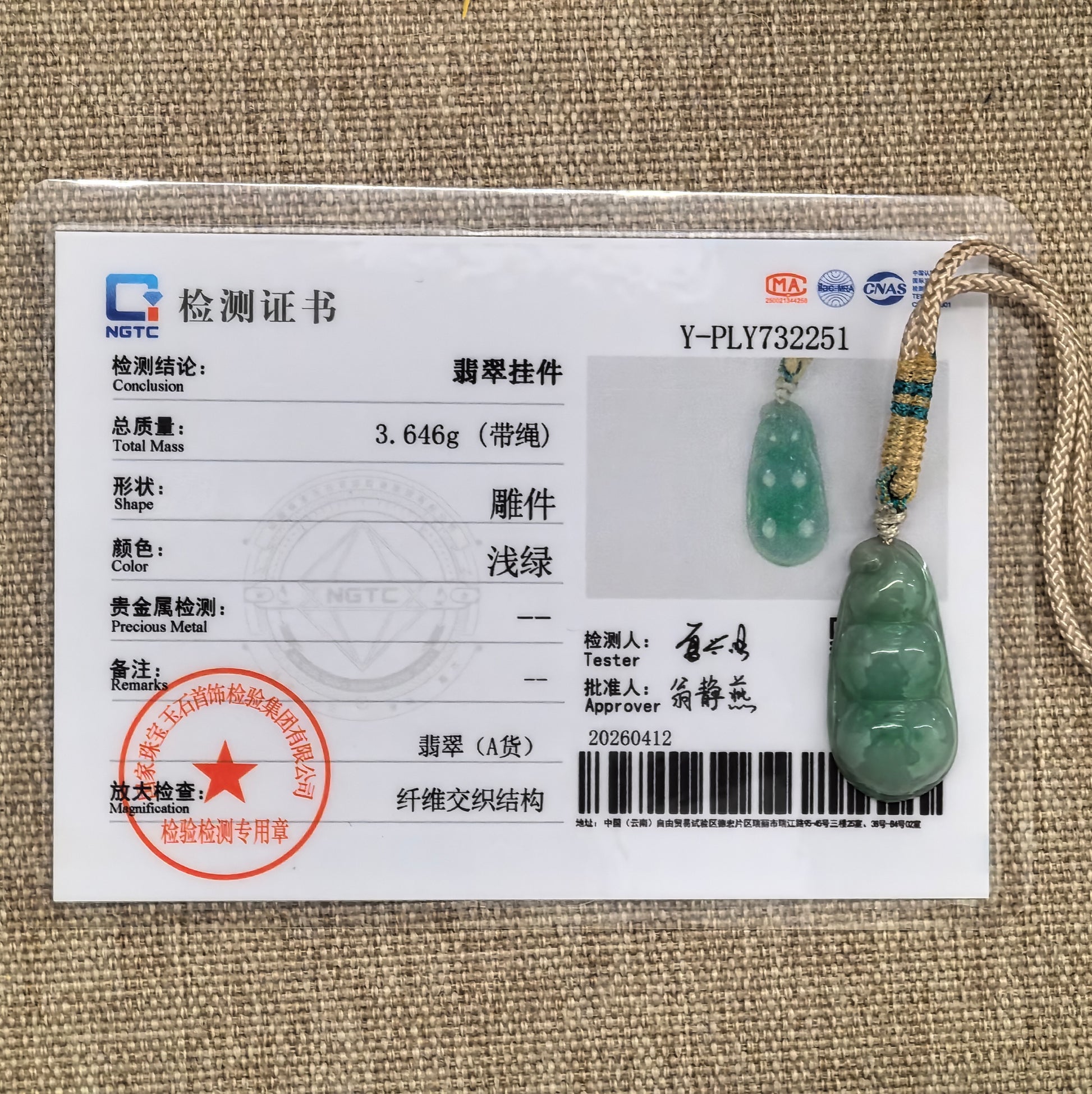 NGTC certified glutinous green bean jadeite pendant shown with matching certificate.