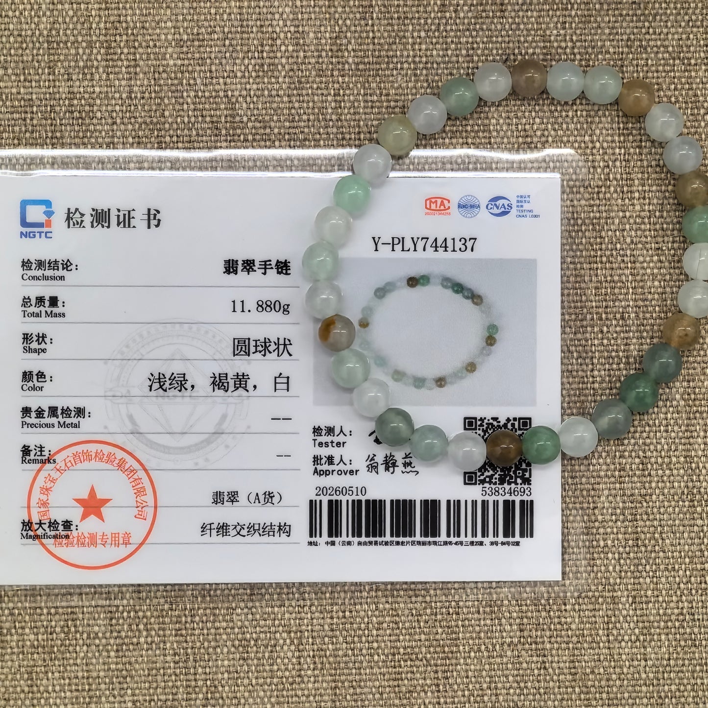 NGTC certified Natural Grade-A multicolor jadeite bracelet shown with matching certificate.