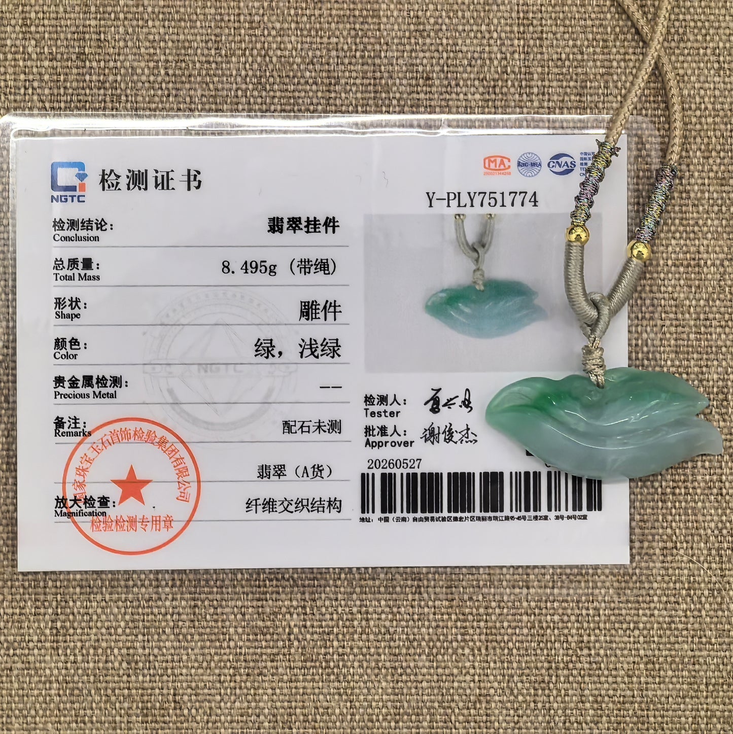 NGTC certified Natural Grade-A green dolphin jadeite pendant with matching certificate and 8.495 g total weight.