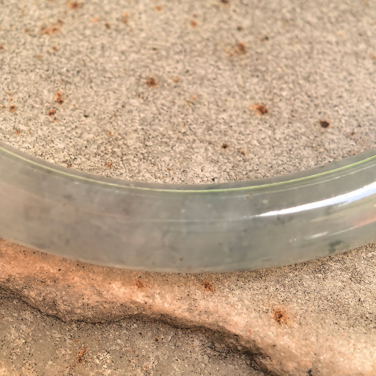 Natural Grade-A Glutinous-Icy Green Floating Flower Oval Jadeite Bangle · Burmese Jade 48mm