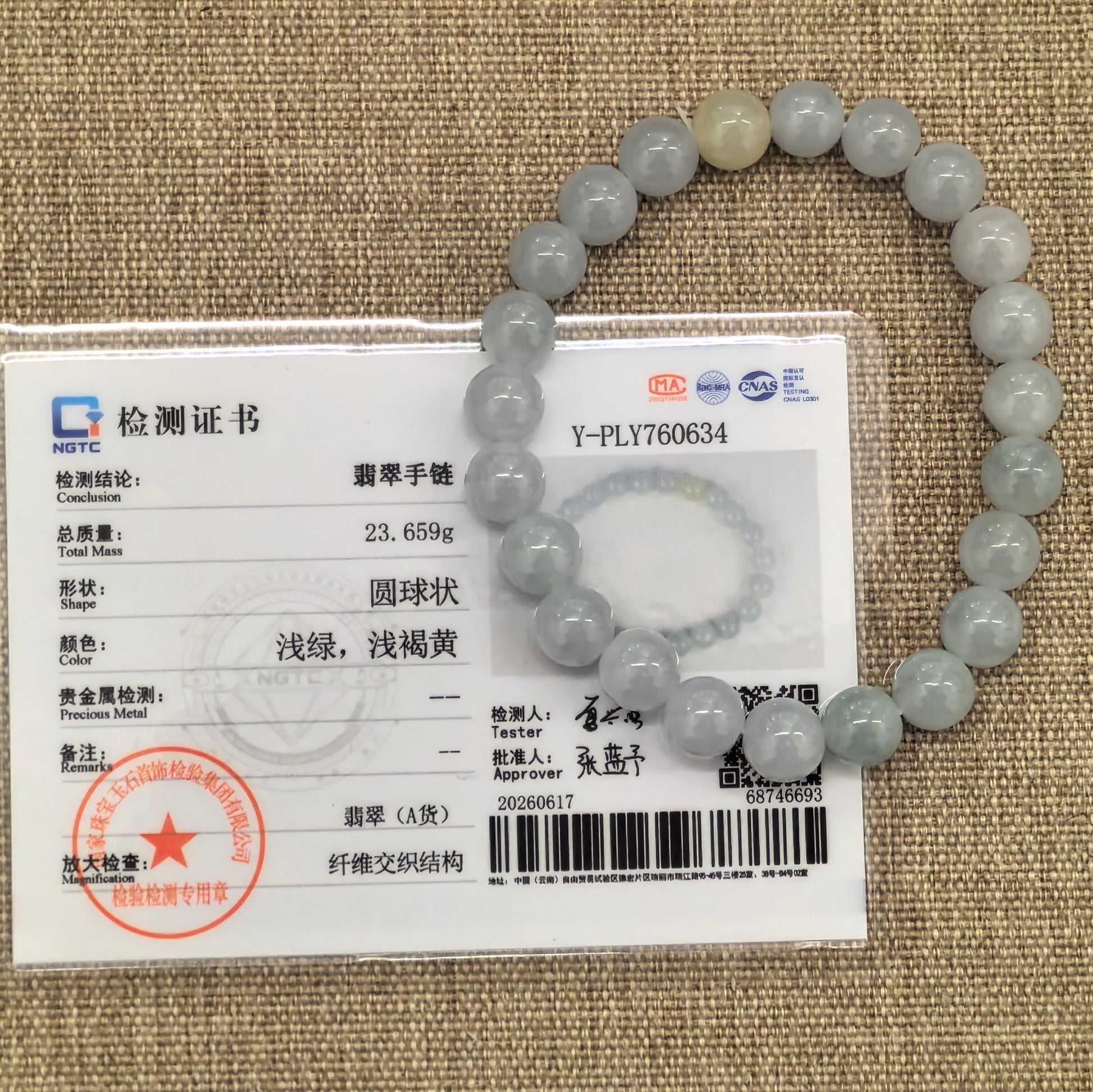 NGTC certified pale green jadeite bead bracelet shown with matching certificate.