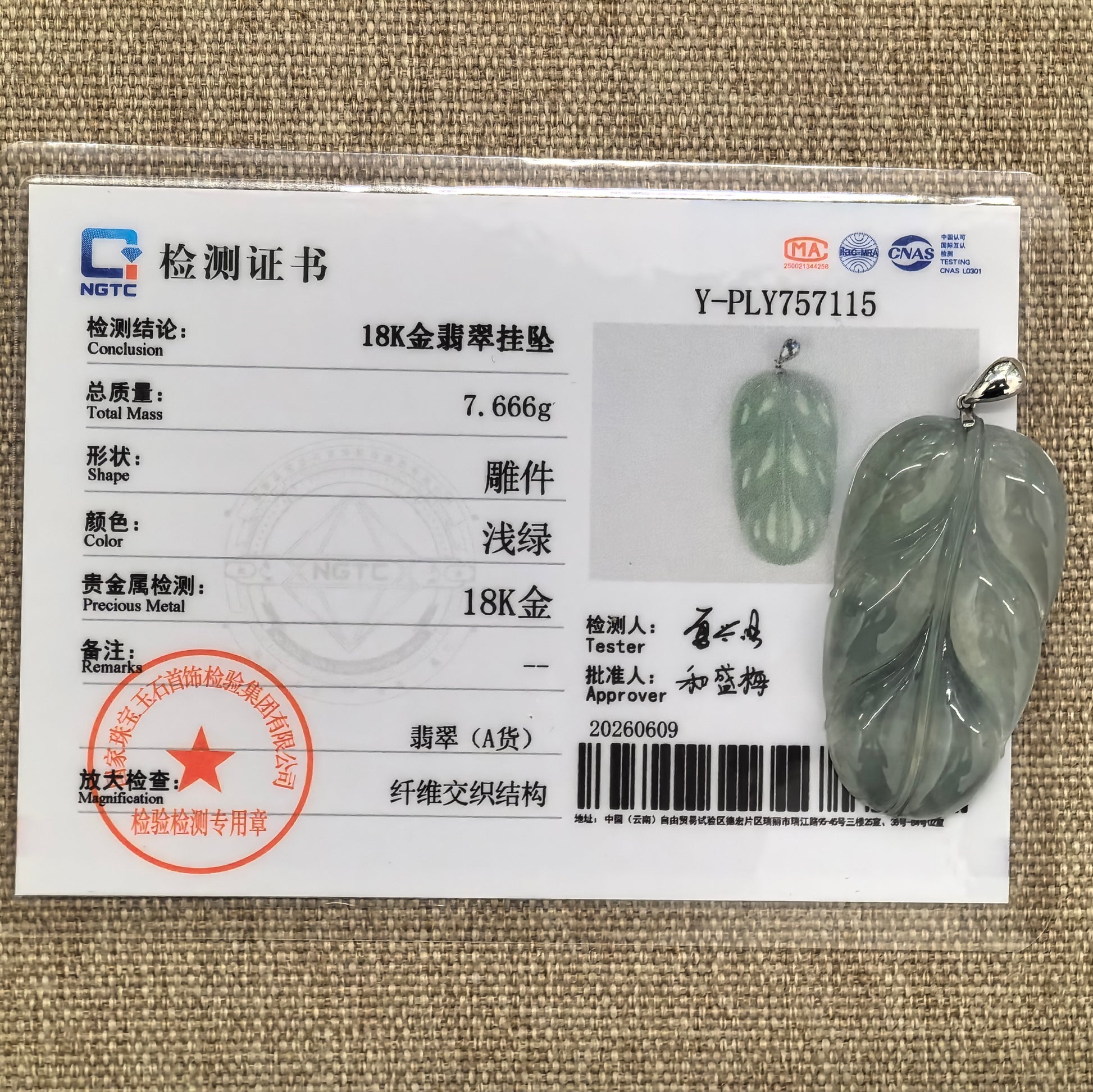 NGTC certified jadeite pendant shown with matching certificate verifying natural Grade-A Burmese jadeite authenticity.