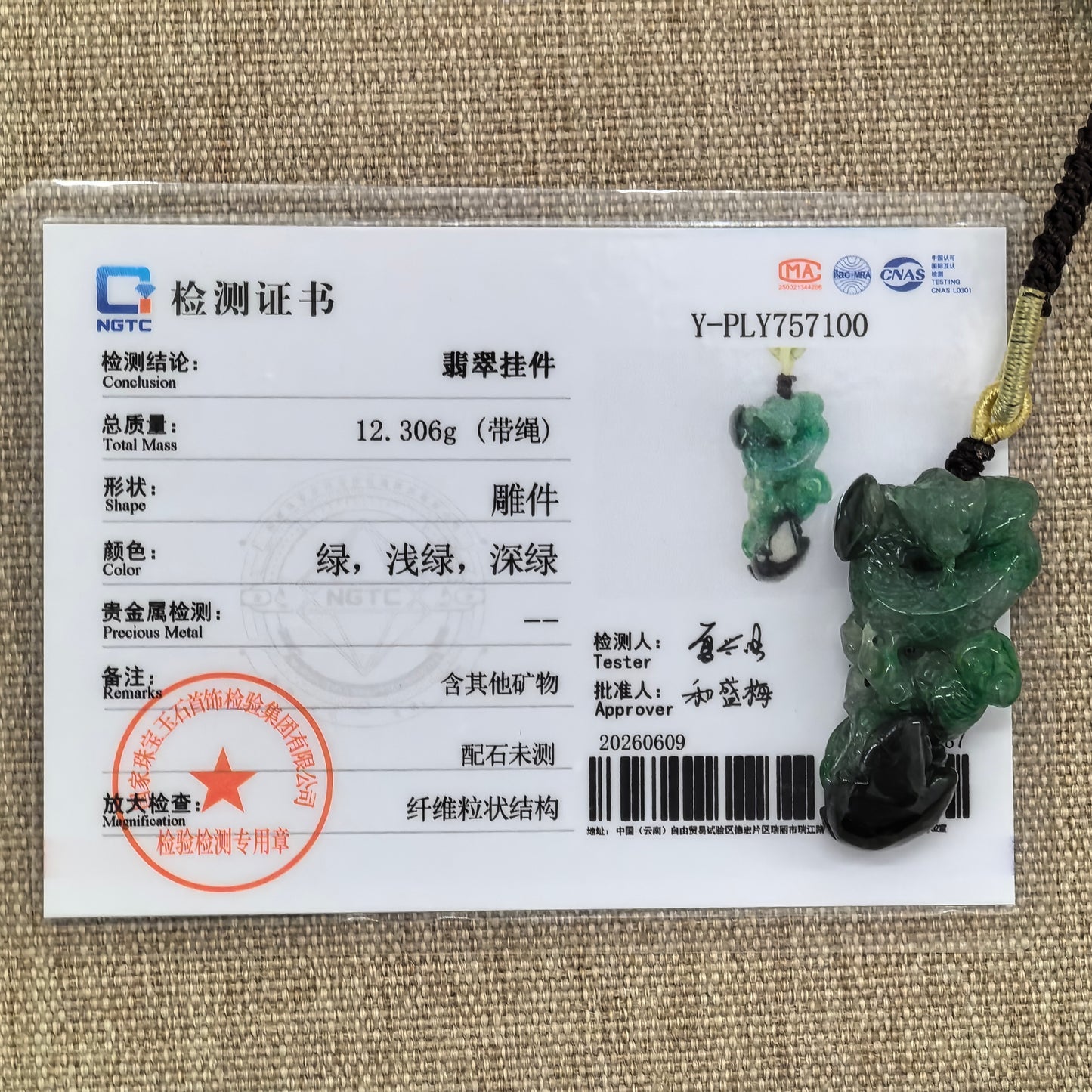 NGTC certified Natural Grade-A green and black jadeite snake pendant shown with matching certificate and 12.306 g weight.