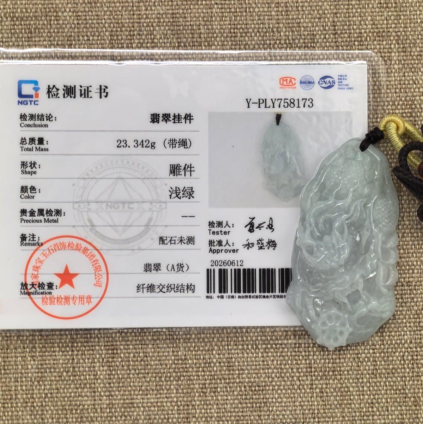 NGTC certified Natural Grade-A pale green jadeite dragon pendant with matching certificate and 23.342 g weight.