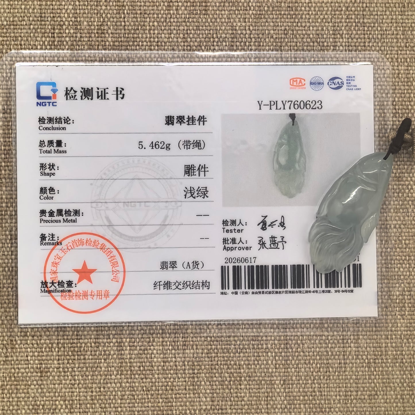 NGTC certified natural Grade-A light green fish jadeite pendant shown with matching certificate.