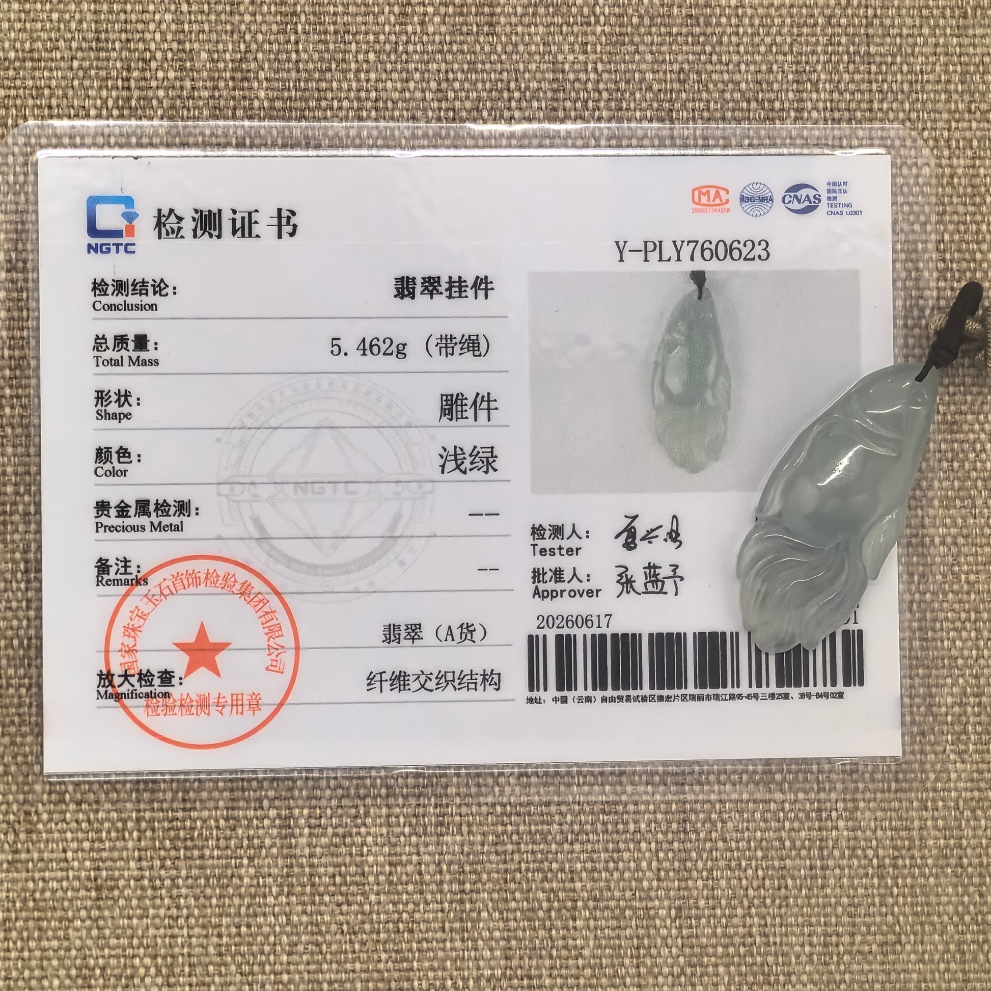 NGTC certified natural Grade-A light green fish jadeite pendant shown with matching certificate.