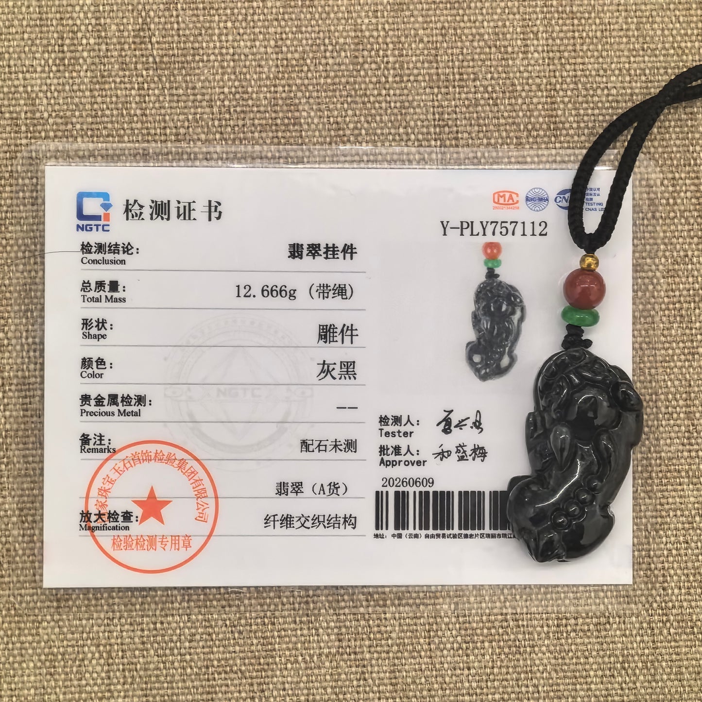 NGTC certified natural Grade-A black Pixiu jadeite pendant displayed with its matching certificate.
