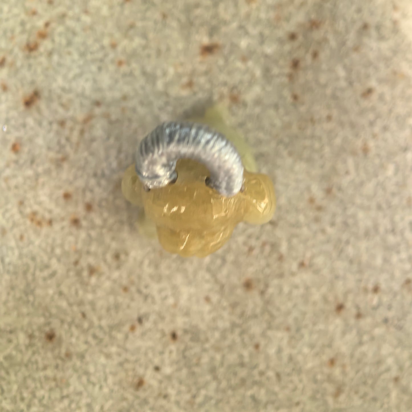 Natural Grade-A Glutinous Light Yellow Puppy Jadeite Charm · Burmese Jade