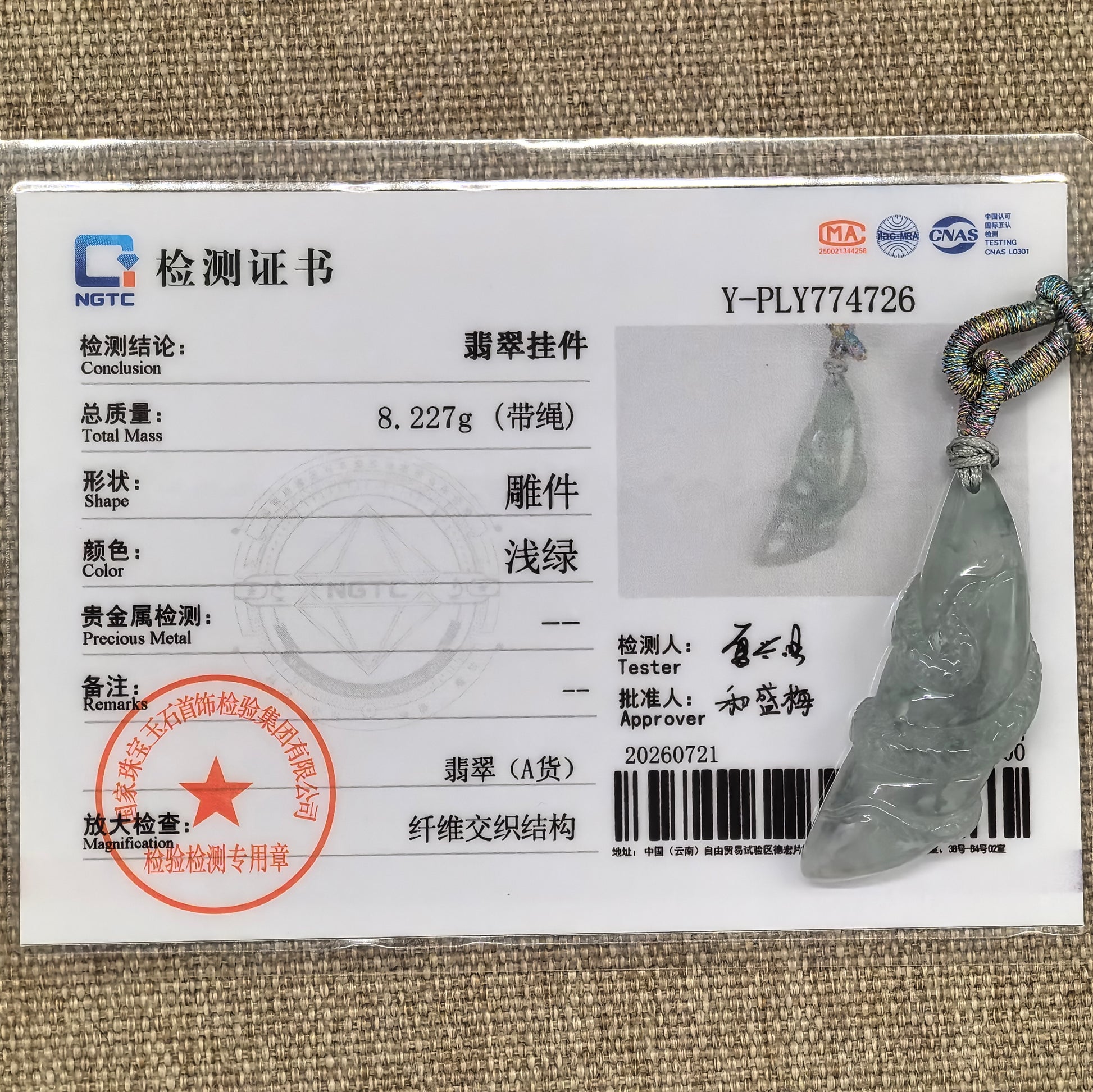 NGTC-certified icy glutinous light green snake jadeite pendant shown with its matching certificate and woven cord.