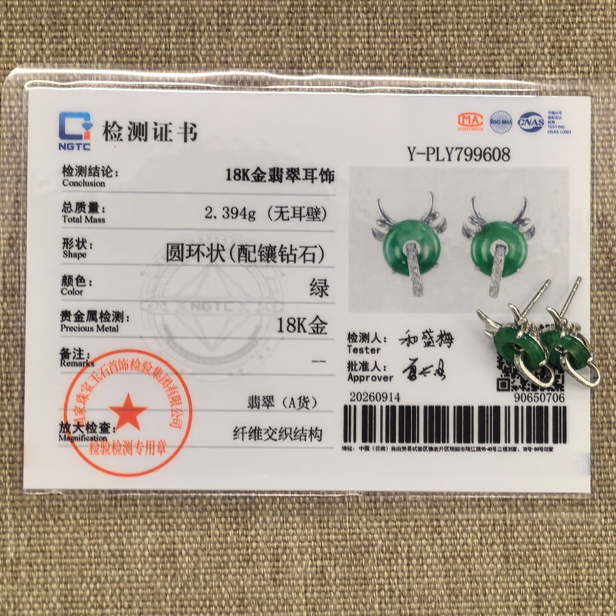 Green jadeite little devil earrings beside their matching NGTC certificate, with the stud posts visible.