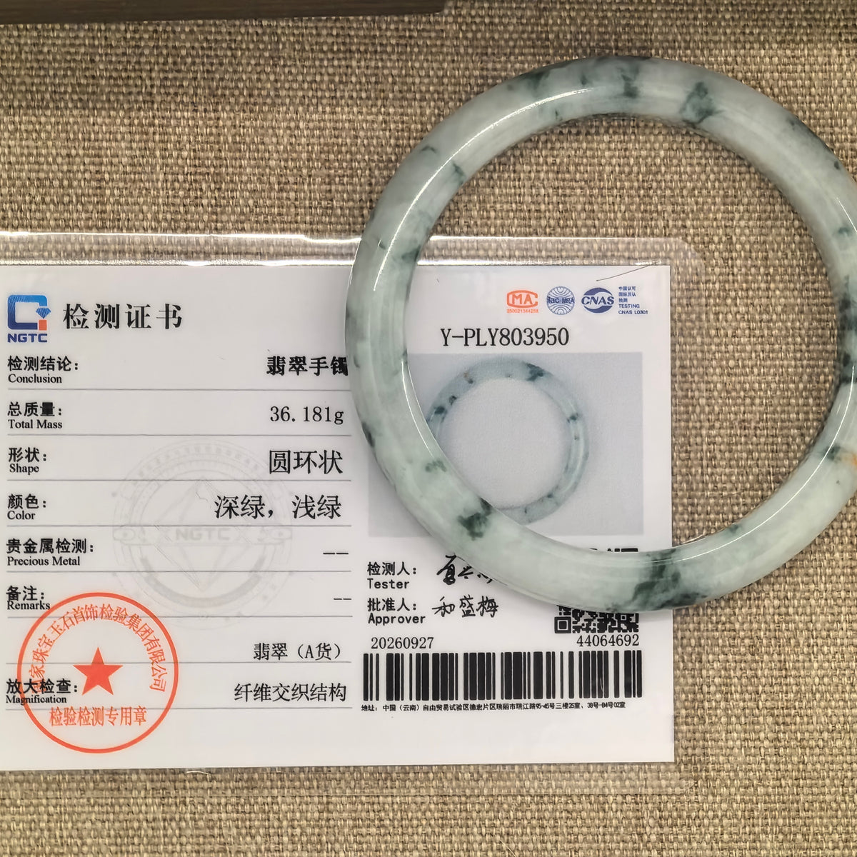 White and deep green jadeite bangle displayed over its NGTC certificate identifying it as Grade-A jadeite.