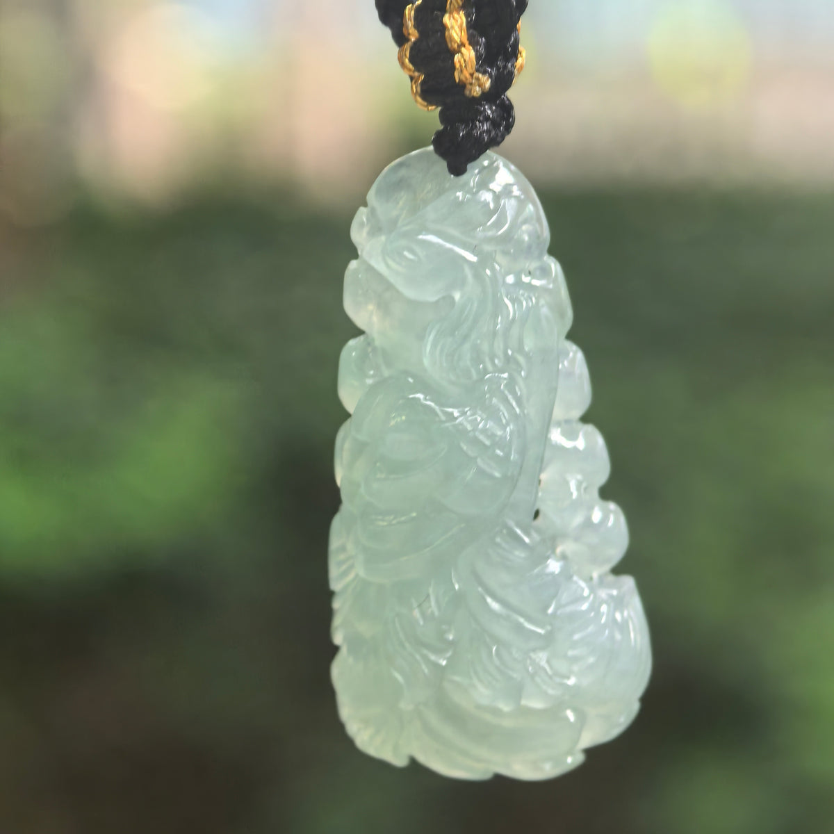 Light blue jadeite phoenix pendant hanging from a black braided cord outdoors, showing its carved head, wing and flowing tail.